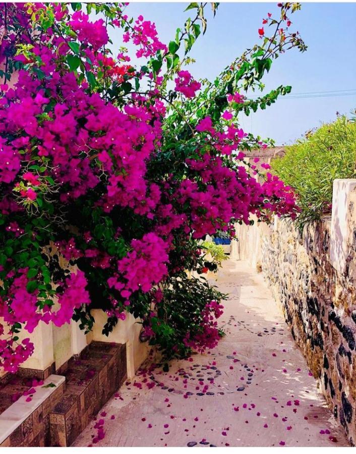 Loukas Kontos Traditional House Emporio  المظهر الخارجي الصورة