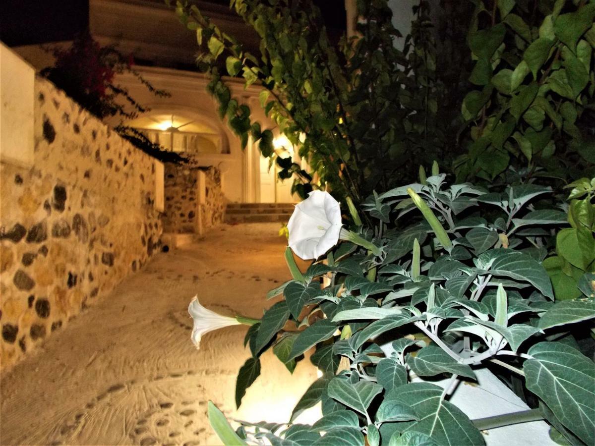 Loukas Kontos Traditional House Emporio  المظهر الخارجي الصورة